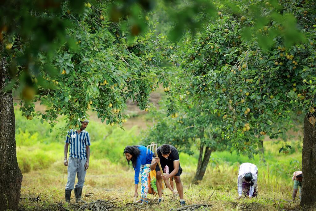 科代卡纳尔The Pear County别墅 外观 照片